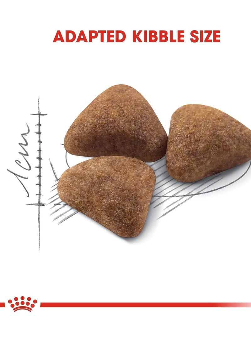 ROYAL CANIN رويال كانين فهن تغذية صحية للقطط داخل المنزل 4Kg طعام جاف للقطط - Image 2