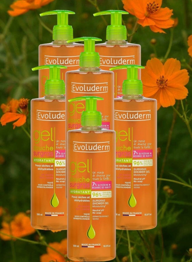 إيفو لوديرم 6 قطع جل الاستحمام المرطب بالسكر من إيفولوديرم 500مل - Image 1