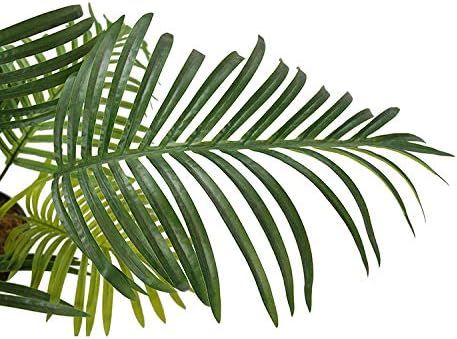 AMERIQUE 691322305203 Gorgeous Tropical Palm Tree Artificial Silk Plant with UV Protection with Nursery Plastic Pot Feel Real Technology Super Quality 53 Green - Image 2