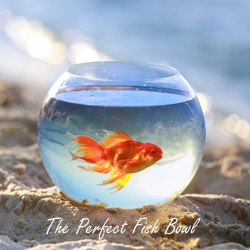 CYS EXCEL Glass Bubble Bowl (H-6" W-8", Approx. 3/4 Gal.) Small Fish Bowl Round Terrarium Vase Globe Flower Centerpiece for Weddings Events Arrangements - Image 5
