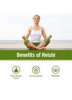Om Mushroom Superfood Reishi Organic Mushroom Powder 3.5 Ounce 50 Servings Adaptogen Stress & Immune Support Superfood Mushroom Supplement  - Image 4