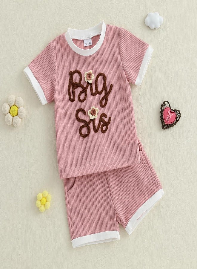Amnnchya Toddler Baby Girl Clothes Floral Infant Summer Shirt Shorts Set Cute Big Sister Little Sister Matching Outfits (Pink Big Sis, 2-3T) - Image 3