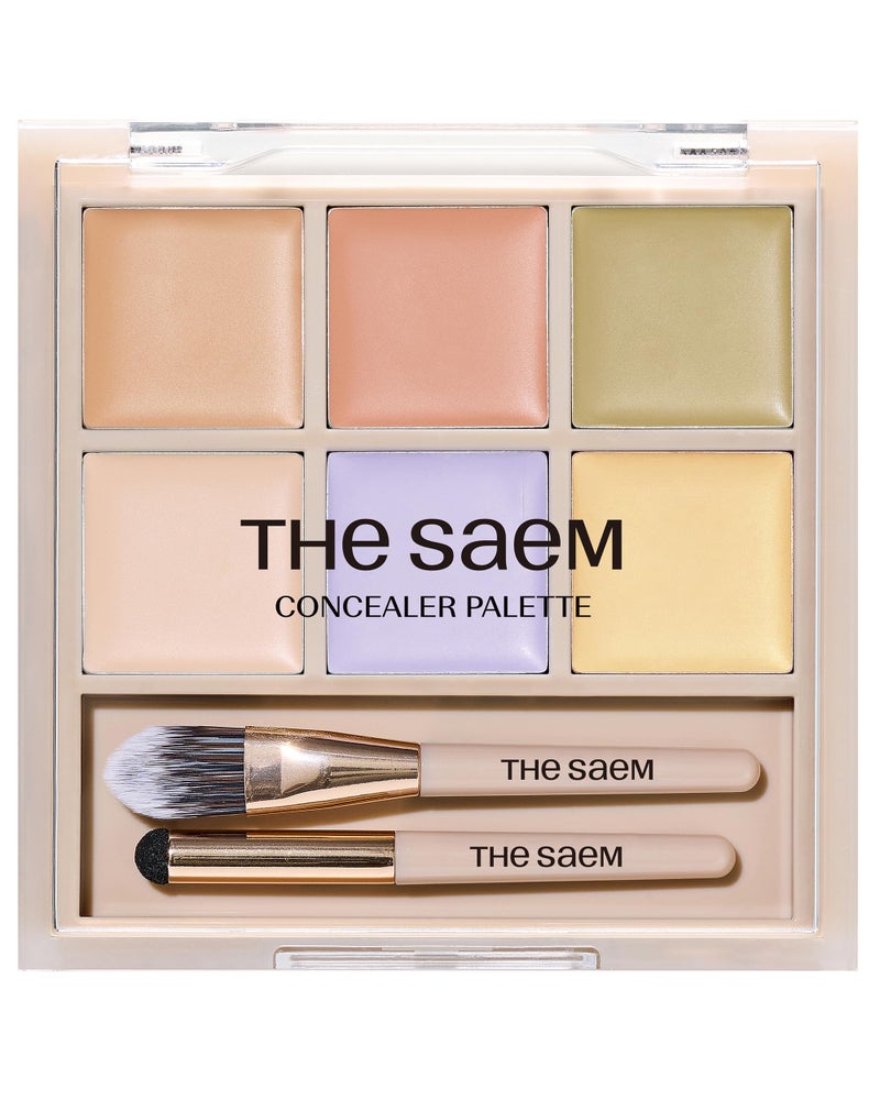 THESAEM باليت تصحيح العيوب من THESAEM 01 CoverCorrect متعددة الاستخدامات 6 ألوان تصحيح العيوب لدوائر الظلام وتصحيح لون الوجه مثالي للبشرة الفاتحة إلى الفاتحة جداً