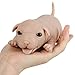Vollence 63 inch Full Body Silicone Reborn Mini Companion Baby Dog Pets Doll Lifelike Realistic Puppy Dog - Image 2