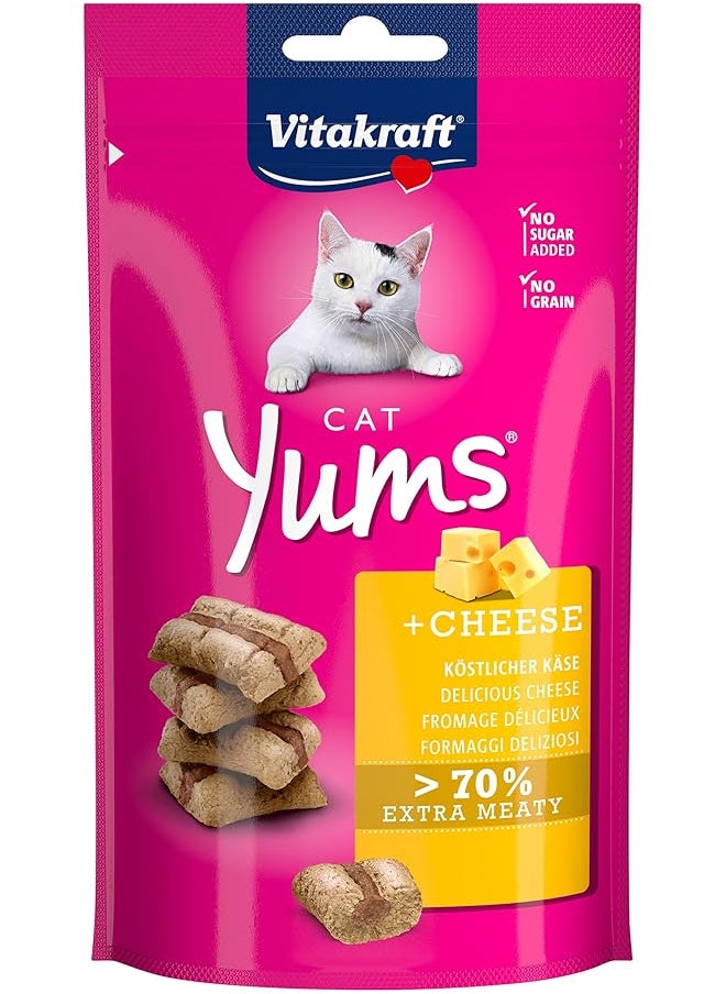 Cat Treats Yums Cheese And Salmon 40G - pzsku/ZE439E0601F39B755D94AZ/45/_/1722831536/955cff7b-8e0e-4750-a84e-4de097e98cc6