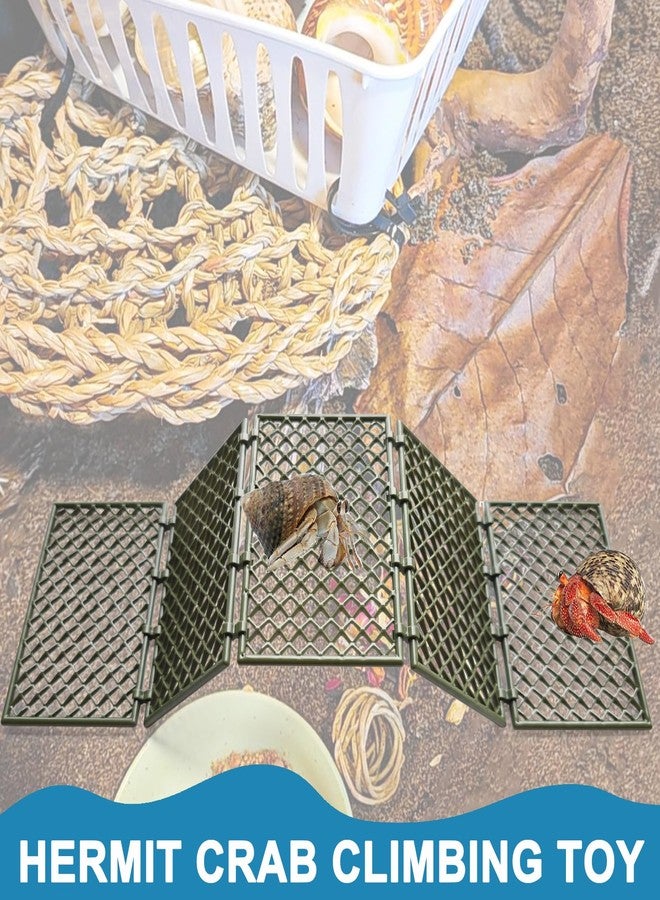 Anranmm Hermit Crab Climbing Toys | 5 Pcs DIY Mesh Hermit Crab Ladder | Hermit Crab Tank Enrichment Decor | Hermit Crabs Decoration Accessories Supplies Toys Ornaments - Image 5