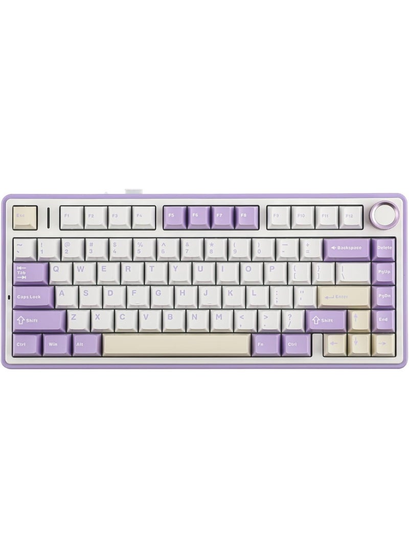 ابوماكر لوحة مفاتيح  F75 الميكانيكية، لوحة مفاتيح ألعاب لاسلكية قابلة للتبديل السريع بنسبة 75% مع حشوة ومقبض من خمس طبقات، بلوتوث/2.4 جيجاهرتز/USB-C، إضاءة RGB (بنفسجي، مفتاح ) - Image 1