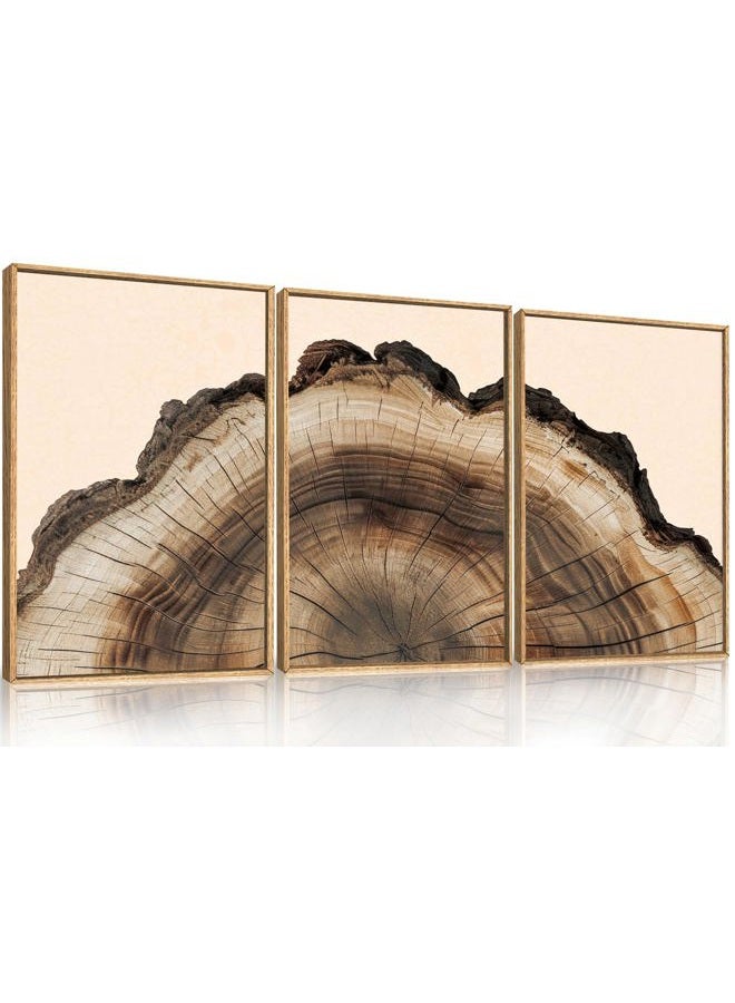 KAIRNE Framed Tree Ring Wall Art Set, Retro Wood Stump Wall Decor, Tree Spiral Wall Painting, Modern Nature Canvas Art Prints for Living Room, Bedroom, Dinning Room, Farmhouse - Large 24"x36"x3 - Image 1