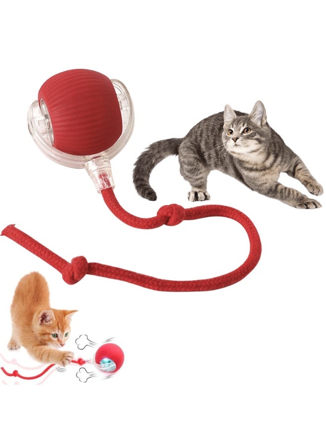 SUNSAR Interactive Pet Ball Toy, 360° Smart Automatic Rolling Ball for Dogs and Cats, Rechargeable, Red - Image 1
