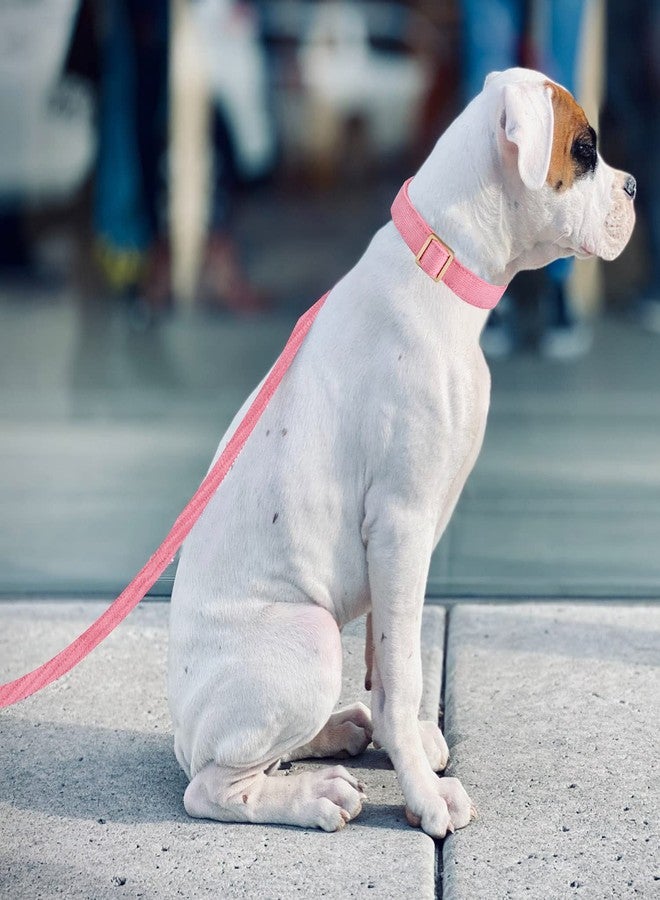 YUDOTE Soft Cotton Dog Collar with Metal Buckle Adjustable Heavy Duty Comfy Corduroy Collars for Small Medium Large Dogs,Rosy Pink,Small - Image 5