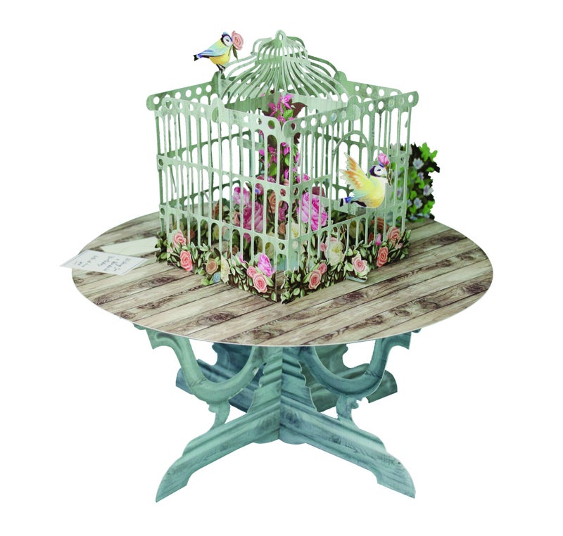 Top of the World Paper DArt 3D Pop Up Birdcage Greeting Card