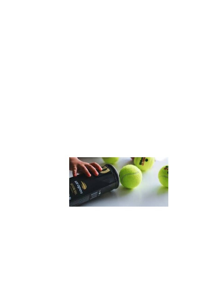 Wilson Wilson US Open Extra Duty Tennis Ball 3 Ball Can  - Image 5