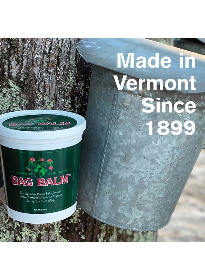 Bag Balm - Vermont's Original Hand & Skin Moisturizer, Cracked Heels Treatment, Dry Hands & Dogs Ointment - 72oz Pail - Image 1