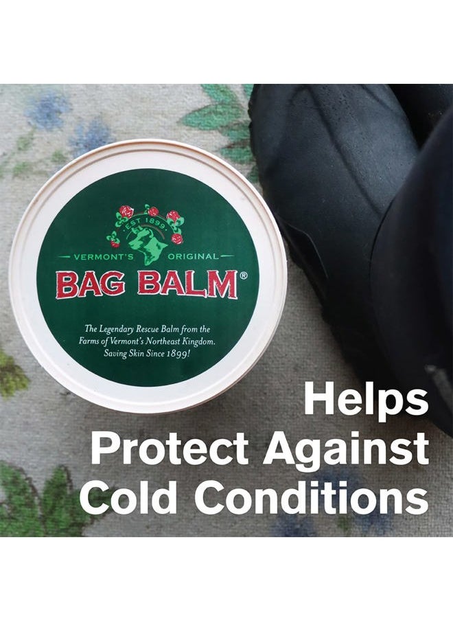 Bag Balm - Vermont's Original Hand & Skin Moisturizer, Cracked Heels Treatment, Dry Hands & Dogs Ointment - 72oz Pail - Image 1