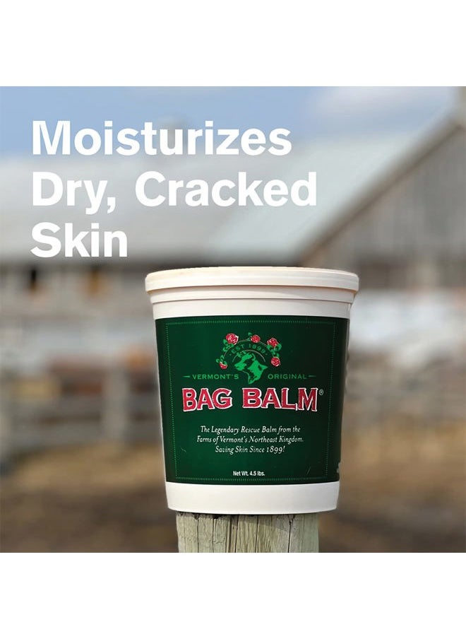 Bag Balm - Vermont's Original Hand & Skin Moisturizer, Cracked Heels Treatment, Dry Hands & Dogs Ointment - 72oz Pail - Image 1