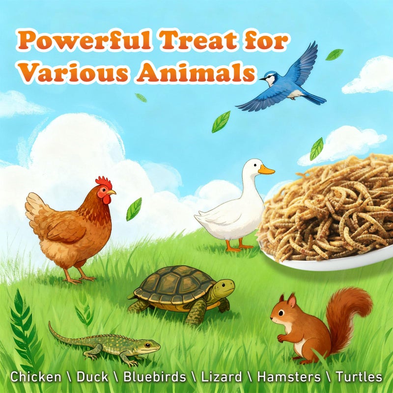 Amzey Dried Mealworms 5 LB, 100% Natural Meal Worms for Chicken & Birds, Organic Chicken Feed for Laying Hens, High Protein and Nutrition, Zipped Bag - Image 5