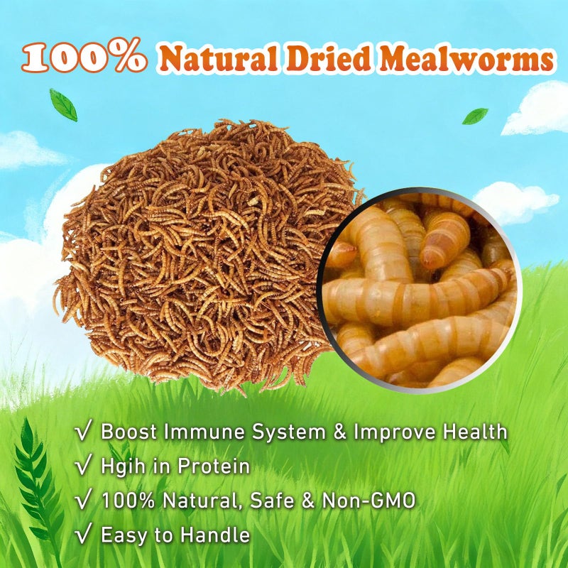 Amzey Dried Mealworms 5 LB, 100% Natural Meal Worms for Chicken & Birds, Organic Chicken Feed for Laying Hens, High Protein and Nutrition, Zipped Bag - Image 2