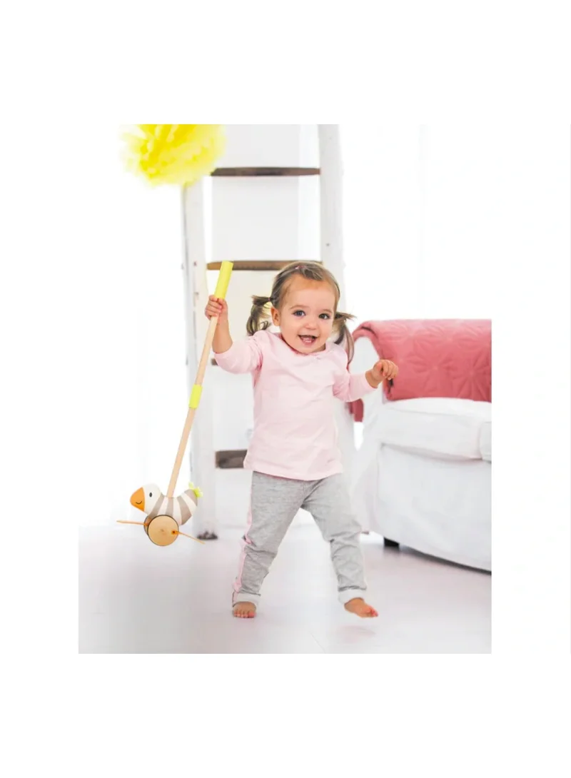هيب Hape, Flappy Bird, Push Pull Along Toy, With Detachable Stick & Soft Rubber Wheels, Wooden Toys For Walking Toddlers, Interactive Wooden Animal Toy, Hape Toys