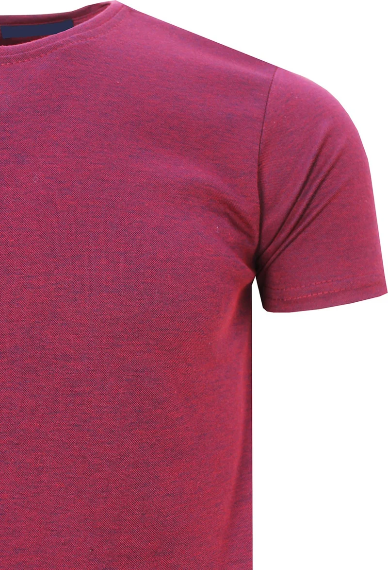 Varetta Men's Claret Red Regular Cut Round Neck Knitwear T-Shirt