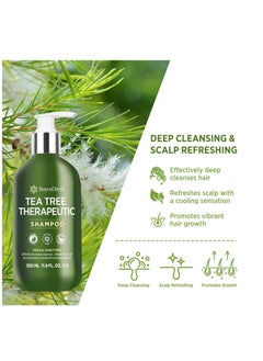 Roycederm Roycederm Tea Tree Antifungal Shampoo: Folliculitis Shampoo for Dry Scalp, Dandruff, and Itchy Scalp - Medicated Clarifying shampoo with Tea Tree Oil, Paraben & Sulfate Free  - Image 2