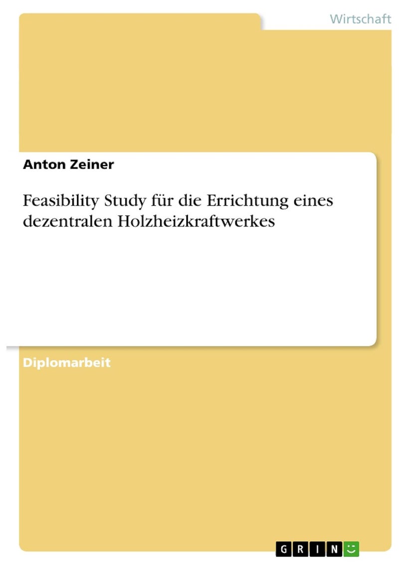 Feasibility Study für die Errichtung eines dezentralen Holzheizkraftwerkes 