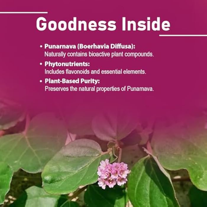 minature Punarnava Tablets by mi Nature| 90 Tablets, 1000 mg| 45 Days Supply| Herbal Tablets| Vegan | Boerhaavia diffusa| from India - Image 3