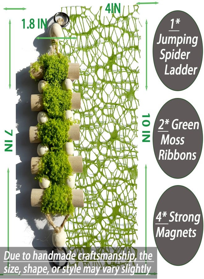 Heyshapeing Jumping Spider Rope Bridge,Handmade Solid Wood Suspension Bridge with 2 Green Spider Webs, Decorative Accessory for Small Reptile Enclosures, Ideal for Jumping Spider Habitats - Image 2