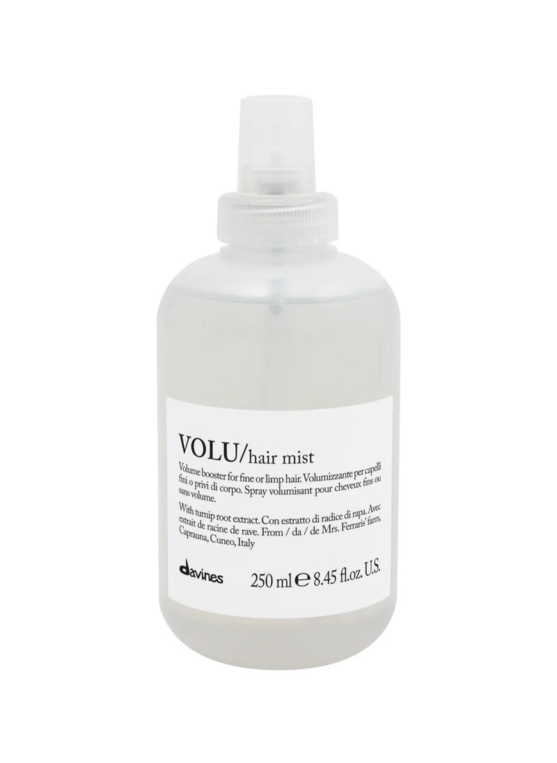 volu hair mist - pzsku/ZE45255CA724A6D393B68Z/45/_/1727333639/eb2be014-adb8-47ed-a249-e931cf0cf7b1