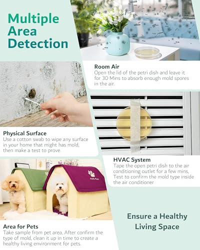 ENESNES Mold Test Kit for Home, 8 Detection Tests for HVAC, Surfaces & Indoor Air Quality, DIY Black Mold Detector Testing kit at Home, Includes Detailed Identification Guide, Free Lab Analysis - Image 5