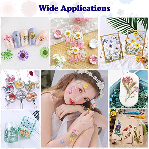 LUCISKY 93 Pcs Yellow Dried Pressed Flowers Real Natural Leave Petals for DIY Resin Candle Jewelry Nail Crafts - Image 5