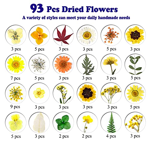 LUCISKY 93 Pcs Yellow Dried Pressed Flowers Real Natural Leave Petals for DIY Resin Candle Jewelry Nail Crafts - Image 4