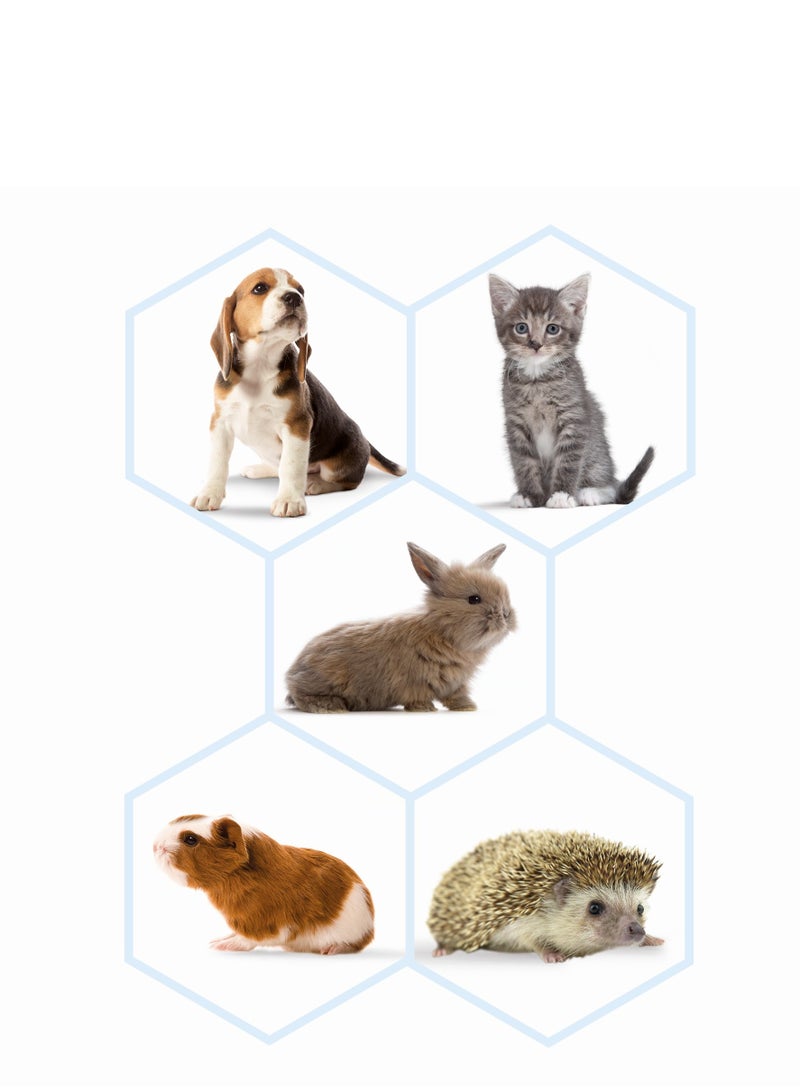 Beaphar Small Animal Feeding 12ml - Image 4