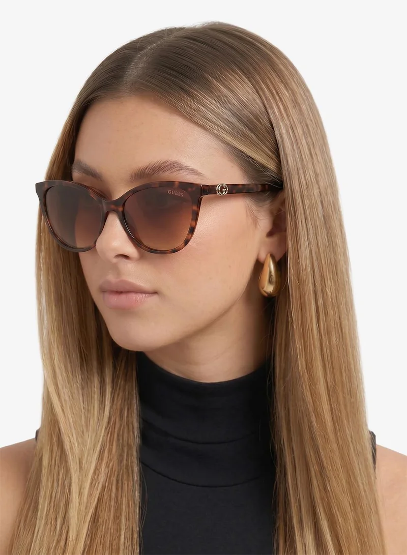 Guess  wayfarers sunglasses for Women | Best Price UAE