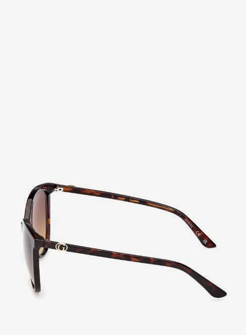 Guess  wayfarers sunglasses for Women | Best Price UAE