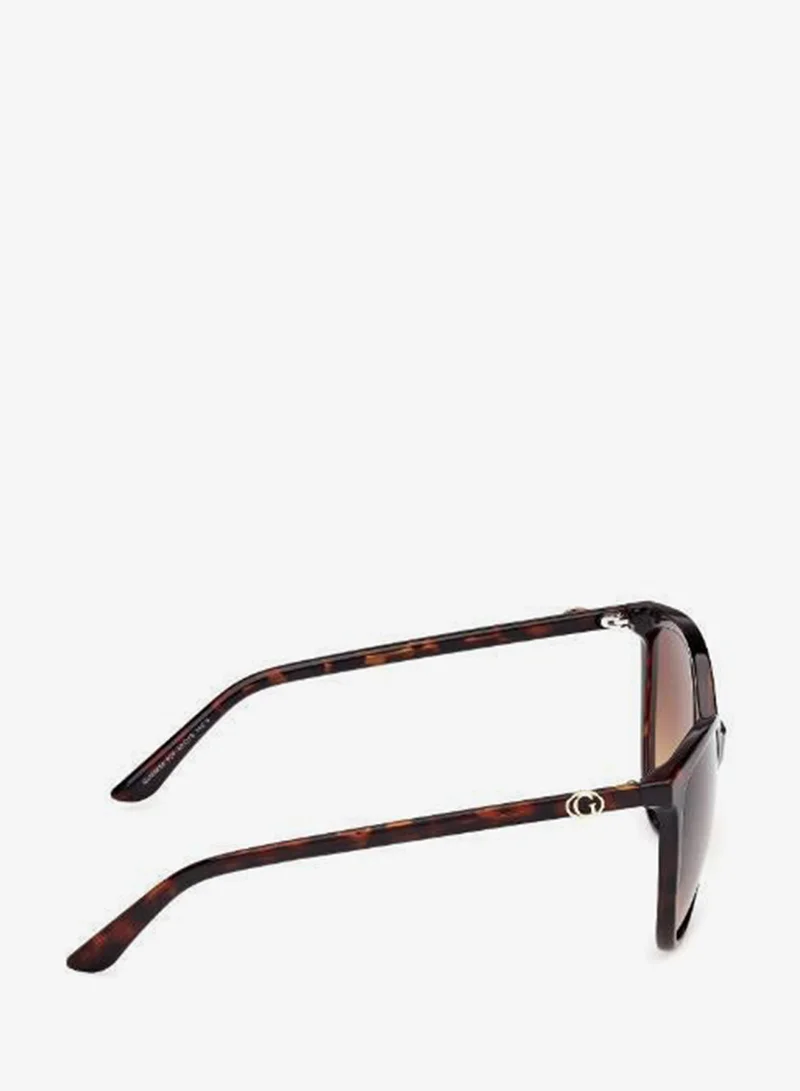 Guess  wayfarers sunglasses for Women | Best Price UAE