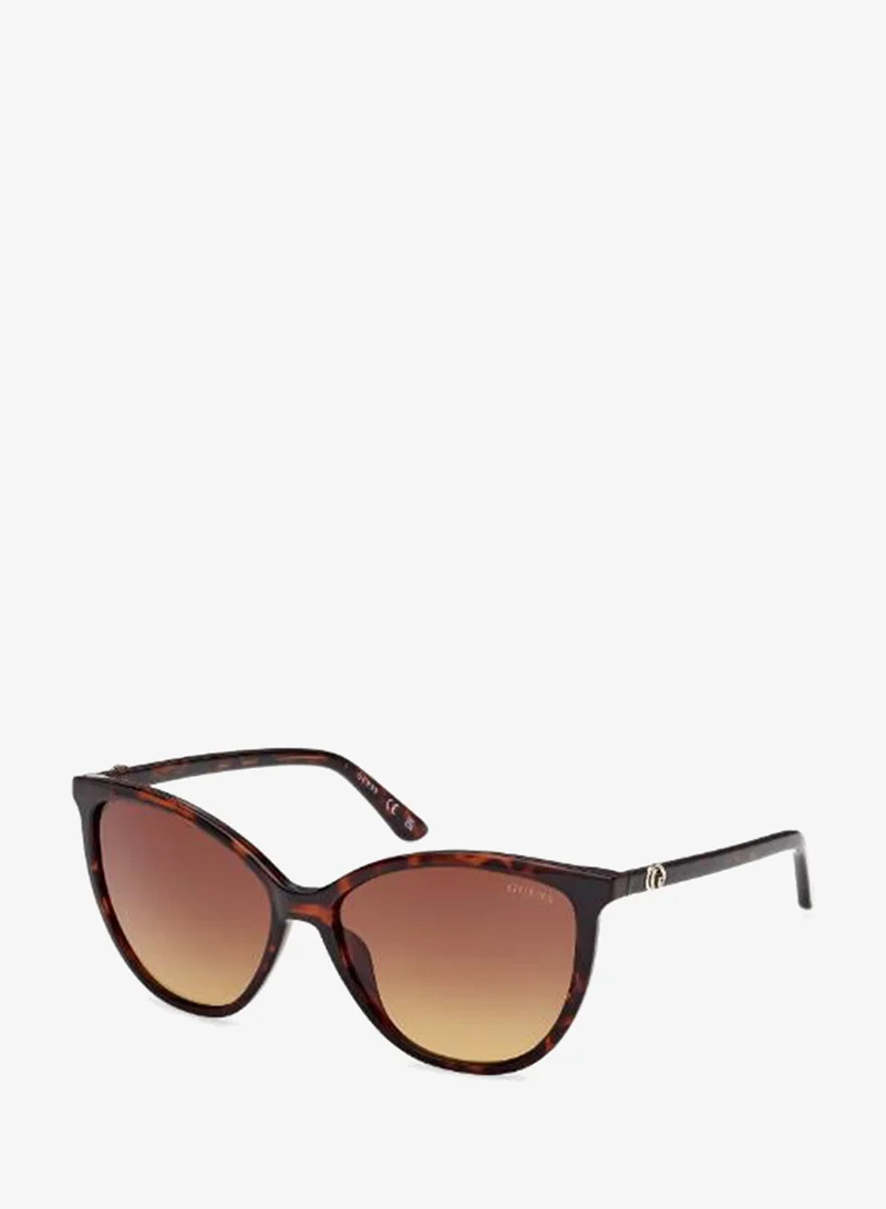 Guess  wayfarers sunglasses for Women | Best Price UAE
