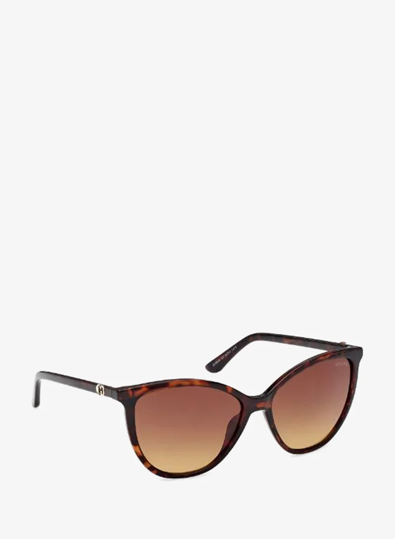 Guess  wayfarers sunglasses for Women | Best Price UAE
