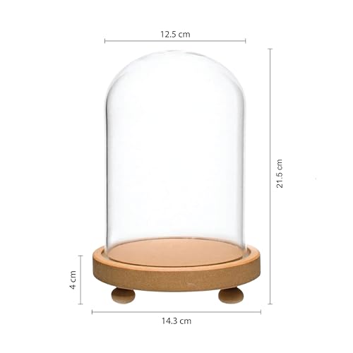 LABZIO Decorative Clear Borosilicate Glass Bell Jar with Round Lacquered Wood Base – Elegant Tabletop Dome Display Case for Home Decor, Festive Centerpiece, Office & Living Room Decoration - Image 2