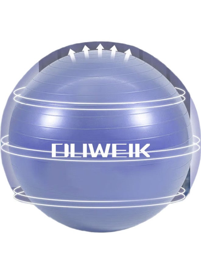 Dweck Yoga Ball, Thickened Non-Slip Elastic Adult Fitness Ball, Professional Balance Core Training, Blue 55Cm - Image 2