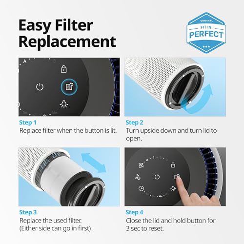 Coway Airmega 100 Air Purifier Replacement Filter Set, True HEPA and Deodorization Filter - Image 4