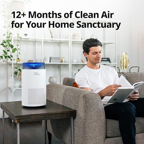 Coway Airmega 100 Air Purifier Replacement Filter Set, True HEPA and Deodorization Filter - Image 5