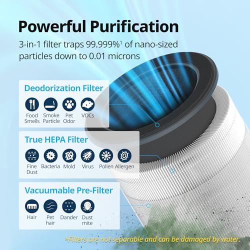 Coway Airmega 100 Air Purifier Replacement Filter Set, True HEPA and Deodorization Filter - Image 3