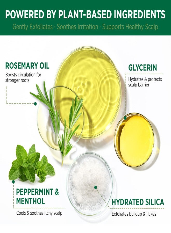 RoyceDerm Rosemary Mint Scalp Scrub Clarifying Scalp Exfoliator Refreshing Clean Scalp, Cooling Micro-Exfoliation with Botanical Extracts, For All Scalp Types (Rosemary Mint Scalp Scrub) - Image 3