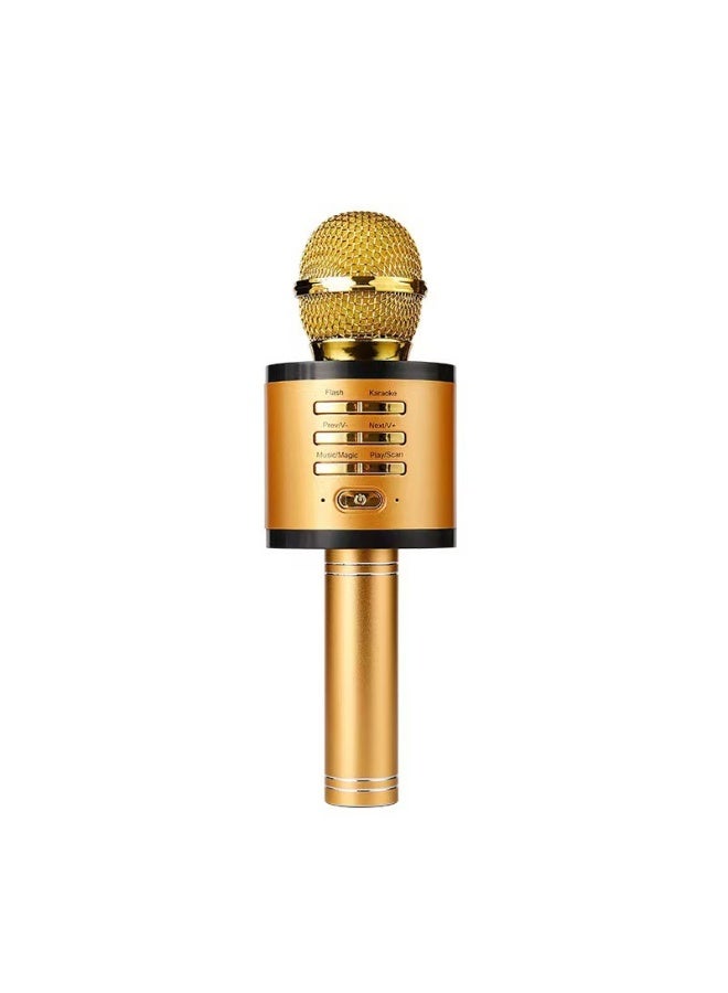 EBMINI New Professional Home KTV Singing Recording Home Karaoke Microphone