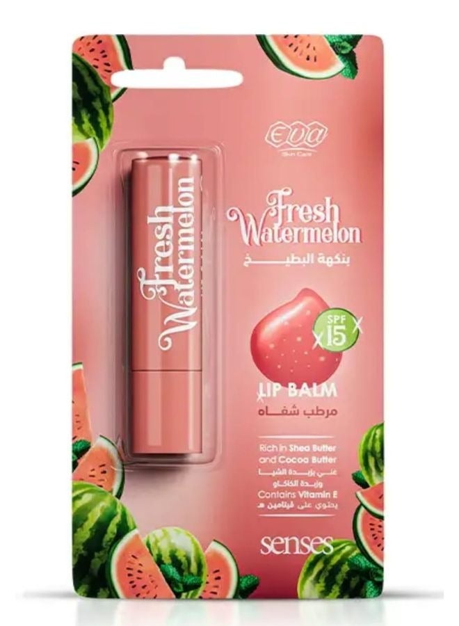 سكين كير سينز مرطب الشفاه بنكهه البطيخ 4 جم