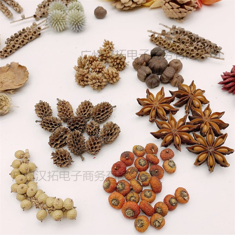 Mini Fruit 1-3Cm Handmade Diy Material Specimen Po Frame Fruit Natural Plant Fruit Decoration Dried Fruit Po - Image 2