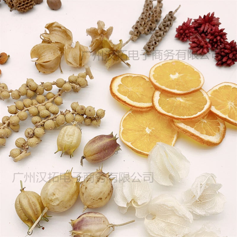 Mini Fruit 1-3Cm Handmade Diy Material Specimen Po Frame Fruit Natural Plant Fruit Decoration Dried Fruit Po - Image 3