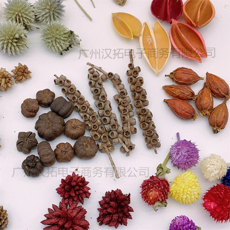 Mini Fruit 1-3Cm Handmade Diy Material Specimen Po Frame Fruit Natural Plant Fruit Decoration Dried Fruit Po - Image 4