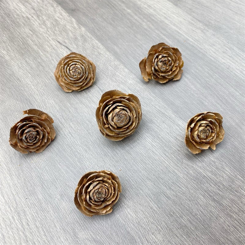 Mini Fruit 1-3Cm Handmade Diy Material Specimen Po Frame Fruit Natural Plant Fruit Decoration Dried Fruit Po - Image 1