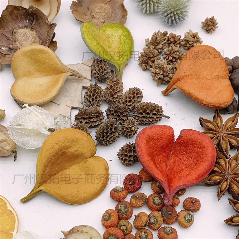 Mini Fruit 1-3Cm Handmade Diy Material Specimen Po Frame Fruit Natural Plant Fruit Decoration Dried Fruit Po - Image 5